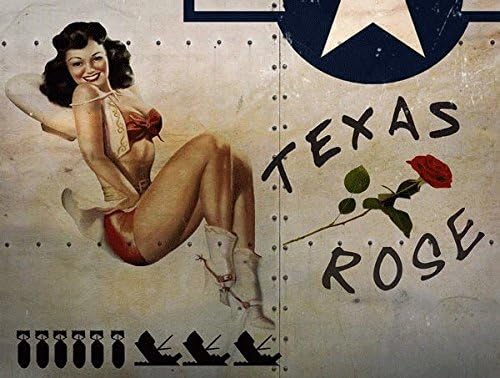 טקסס רוז מתכת סימן, מלחמת העולם השנייה מטוס האף אמנות, פינאפ ילדה, בציר דקור