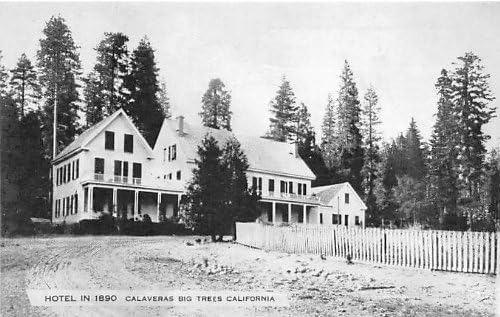 Calaveras Big Tree, גלויה בקליפורניה