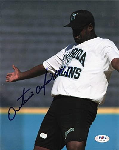 אנטוניו אלפונסקה חתם על 8x10 Photo PSA/DNA פלורידה מרלינס חתימה - תמונות MLB עם חתימה